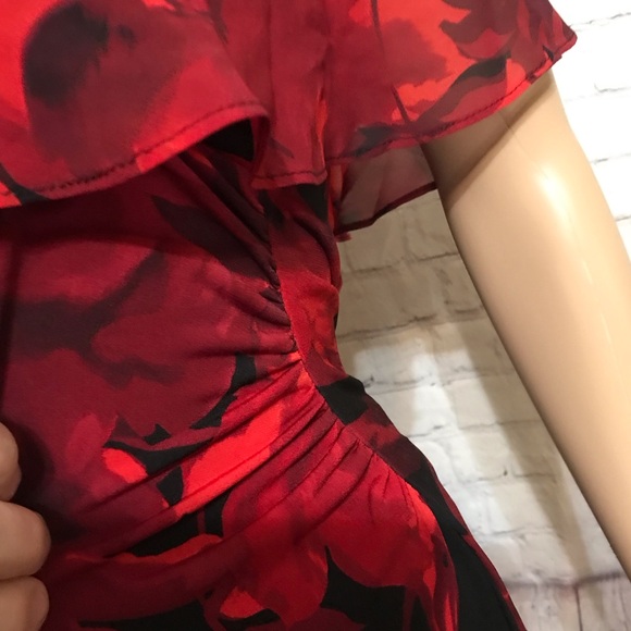 NWT Ruffled Rose Dress - Picture 7 of 11
